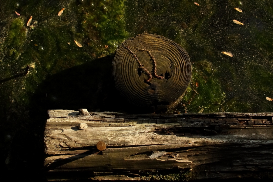 2013 05 21 IMG 07332e